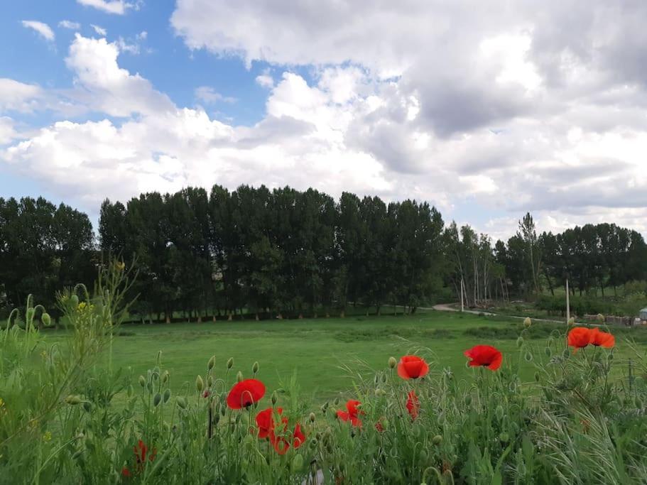 Casa Rural La Endrina Terriente Exteriör bild